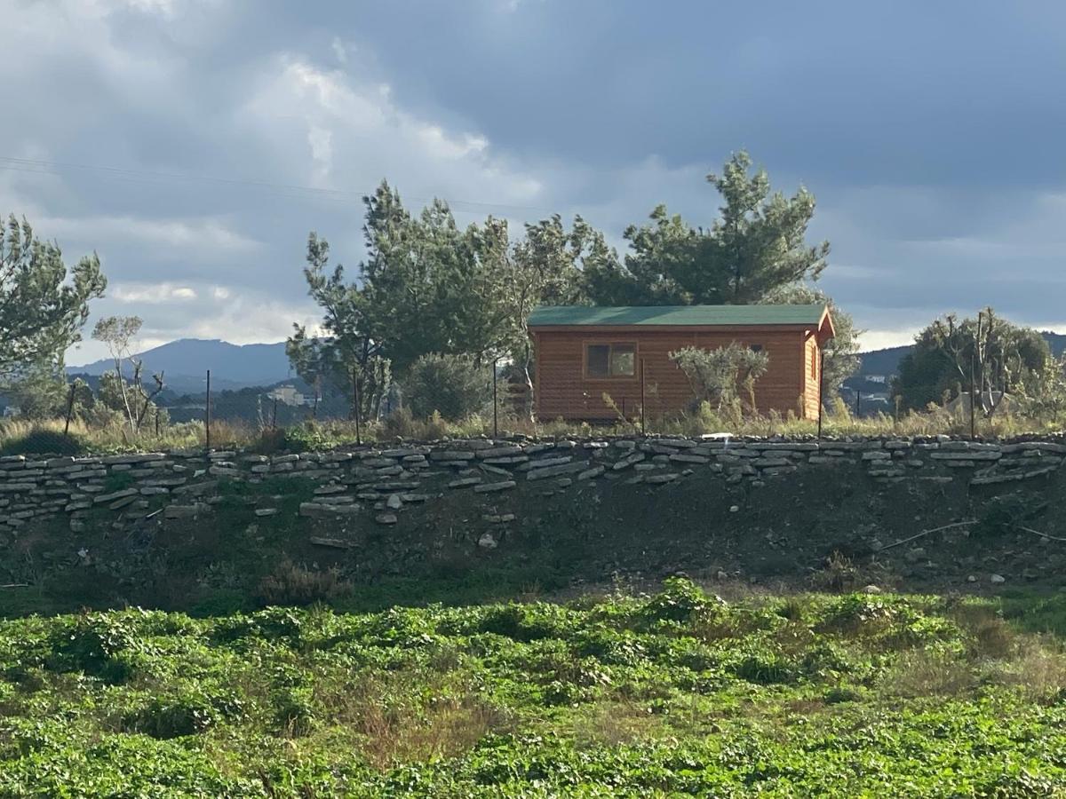 Nefes Urla Bungalov 3 Exterior photo